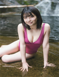 《日本研究》