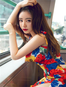 《新女婿时代全集下载》