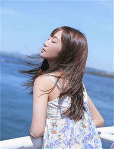 《电视剧心莲》